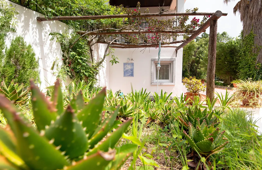 Quinta Verde Sintra - Casa De Campo-1